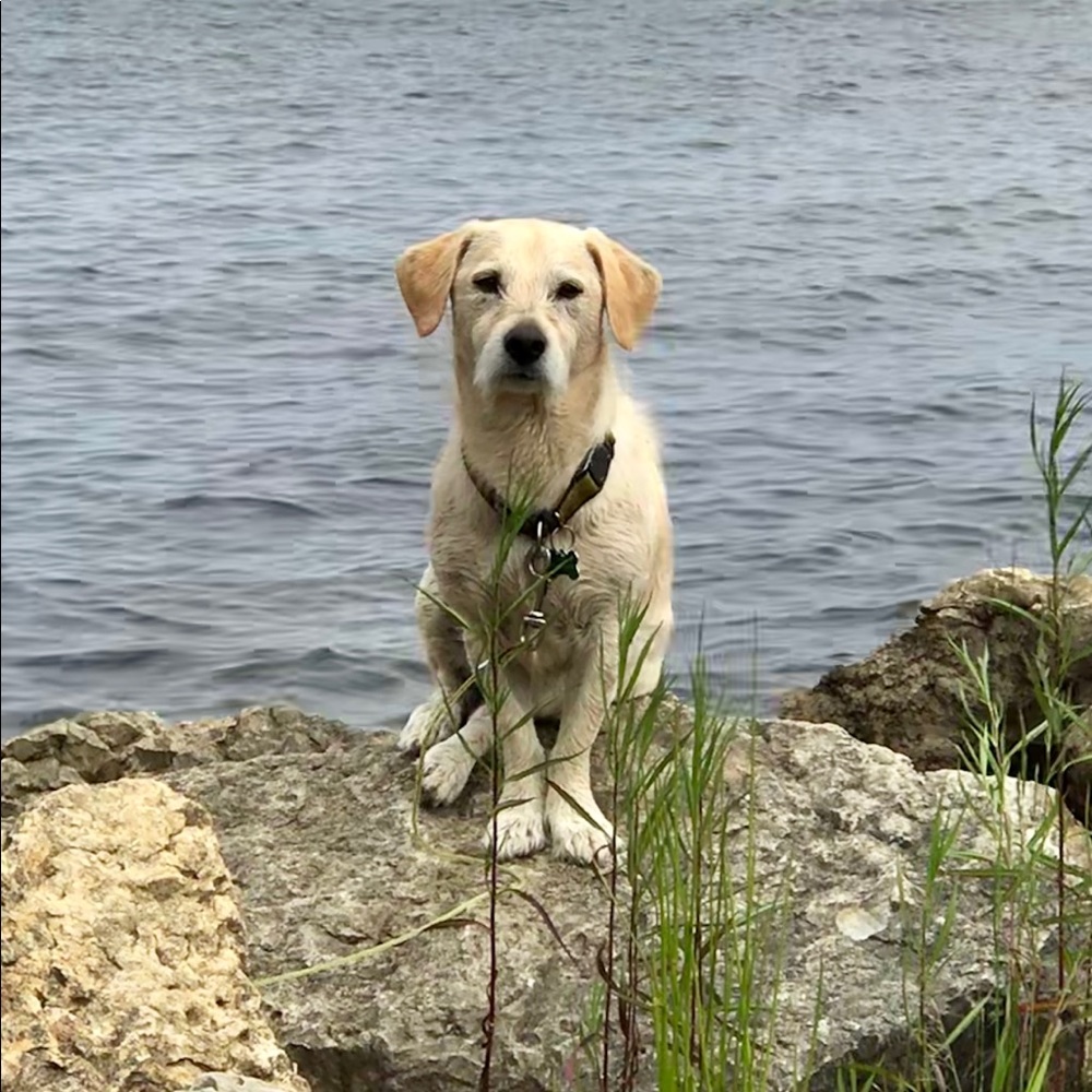 Meet your Posher, Paul